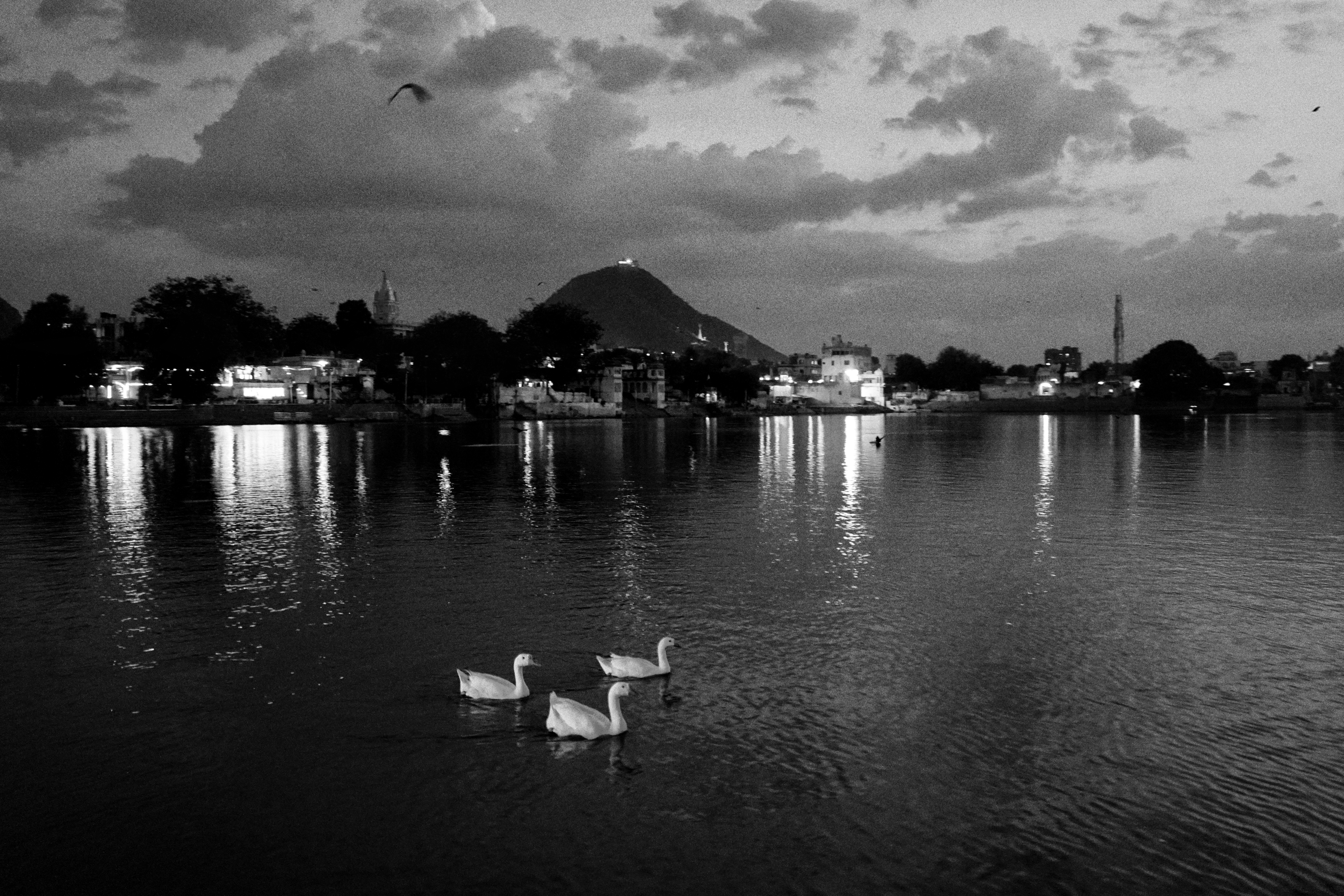 Street Photography Black & White 45
